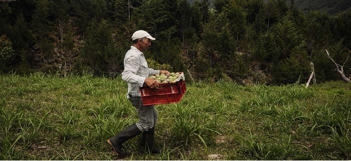 M S De T Tulos De Propiedad Rural Se Entregar N En