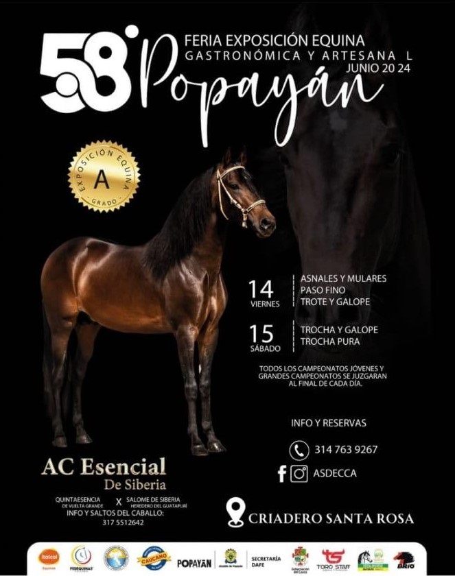 Caballos de Colombia y Ecuador participarán en la Feria Exposición ...